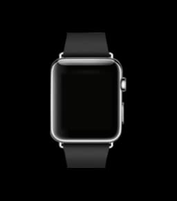 Apple Watch (42mm)