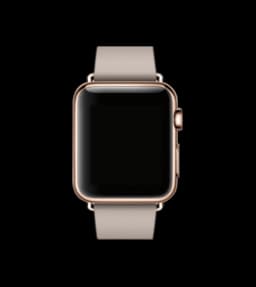Apple Watch Series 1 (42mm)