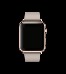 Apple Watch Series 1 (42mm)