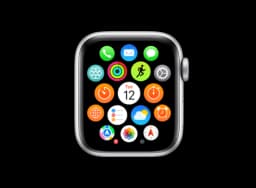 Apple Watch Series 4 (44mm)