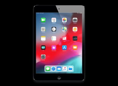 iPad mini (WiFi)