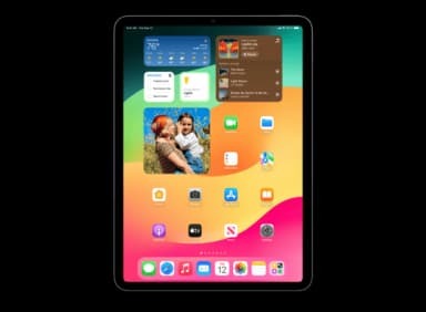 iPad Air 4 (Cellular)
